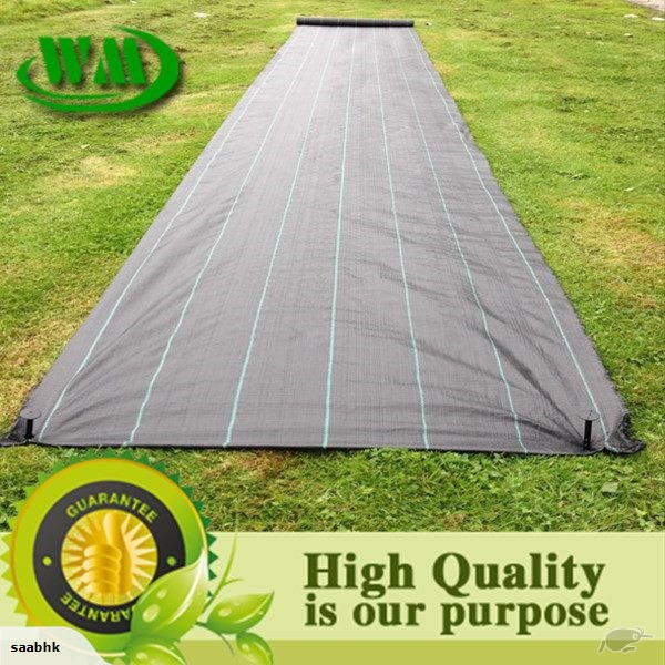 Weed mat Black/Green Line 100 GSM New Materialc 1m x 100m